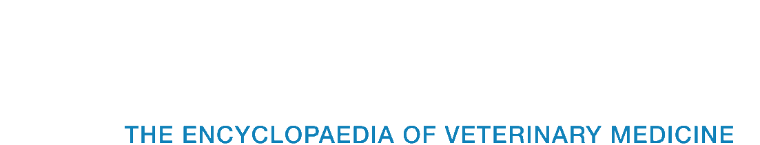 bibliovet<span>.</span>